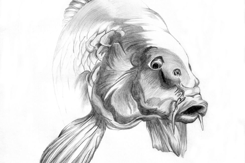 Tatuaż karp