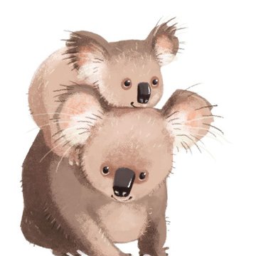tatuaż koala