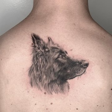 tatuaż owczarek niemiecki