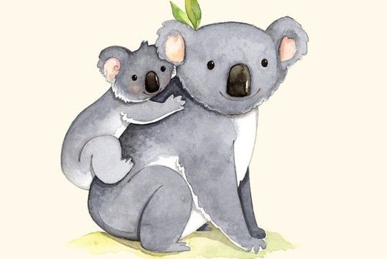 tatuaż koala