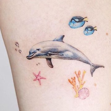 Delfin