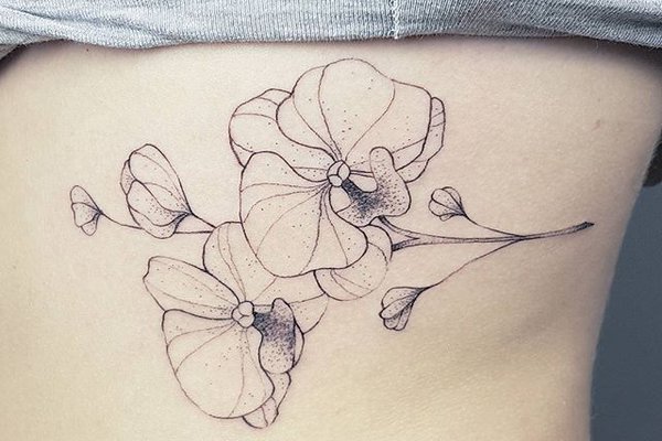 Szkice tatuaży orchidea