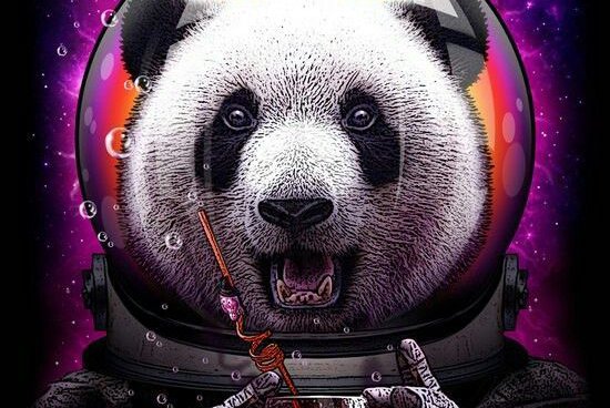 Tatuaż panda