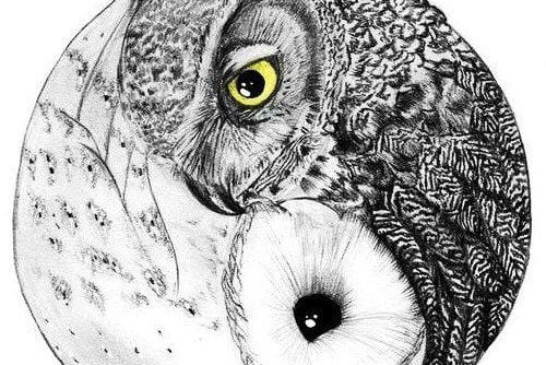 Yin-yang