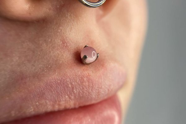 Kompozycja Meduza i septum