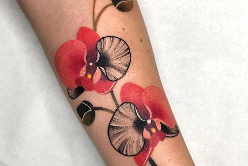 Szkice tatuaży orchidea
